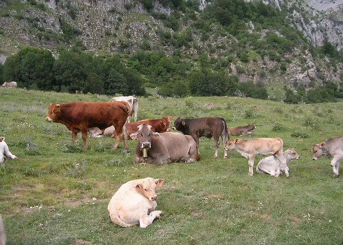 Semesterbostad Casa Magdalena Autural Siresa